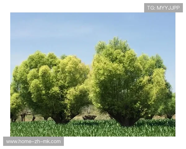 18岁中卫单防三人,硬刚成功 18岁中卫单防三人,硬刚成功